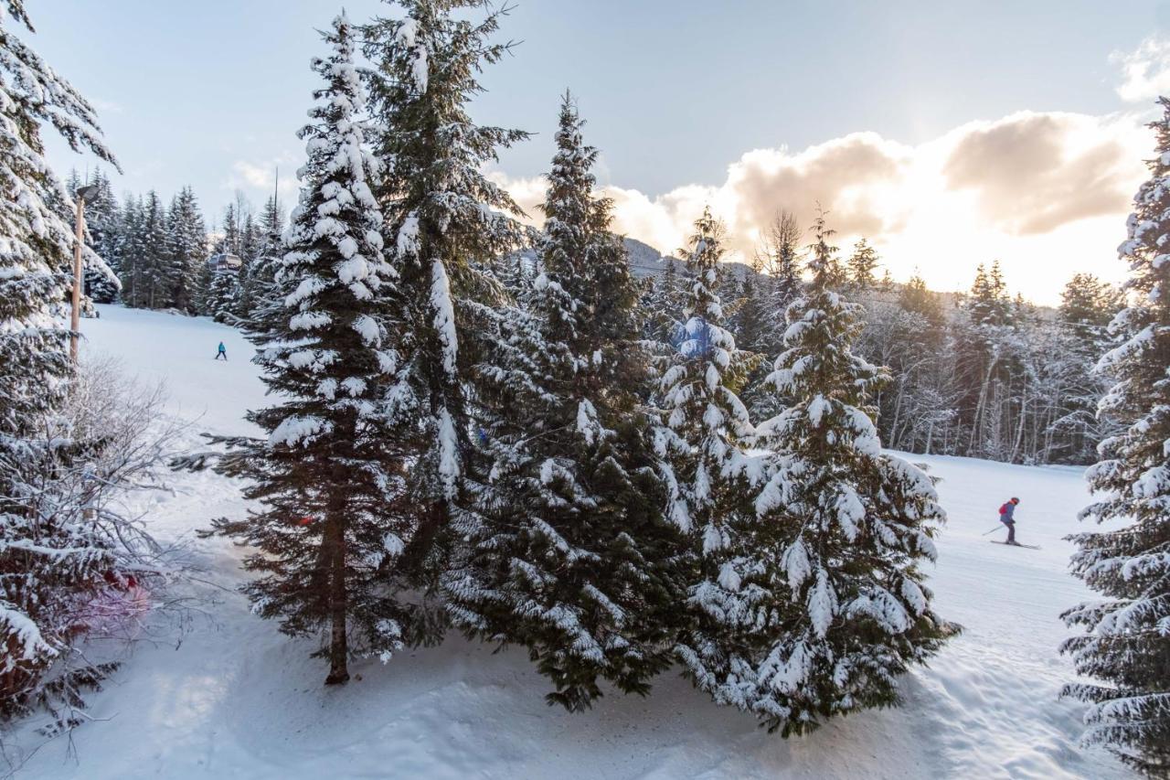 The Best Ski In Ski Out Two Bedroom Condo At Aspens Whistler Exterior foto